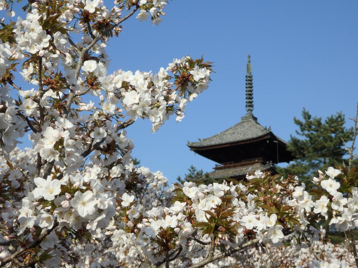 Stay Sakura Kyoto Tsubaki Экстерьер фото